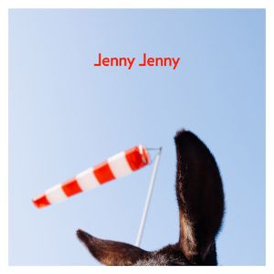 album cover image for the song Jenny Jenny by AnnenMayKantereit